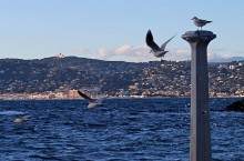 IMG 0869 (2)